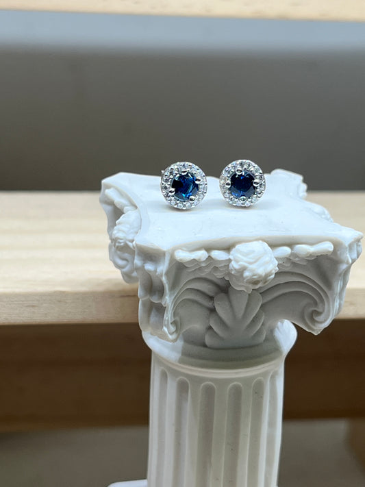 Round 4-Claw Fancy Earrings